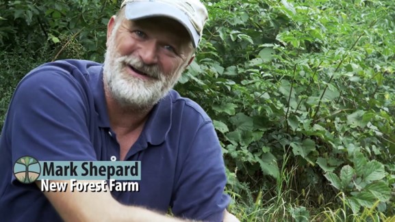 Mark Shepard