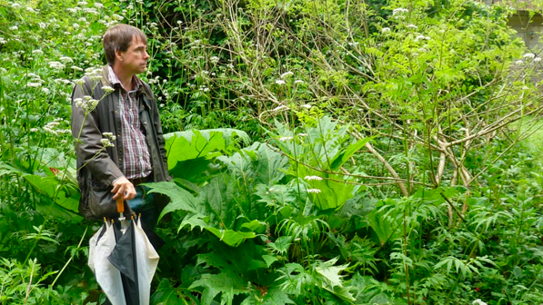 Martin Crawford –  Agroforestry Research Trust  – England