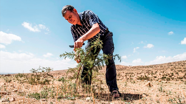 Tony Rinaudo – FMNR i Sahara – Niger