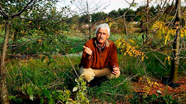 Stefan Sobkowiak – Miracle Farms – Canada