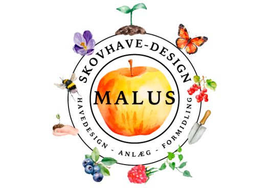 Malus Skovhavedesign