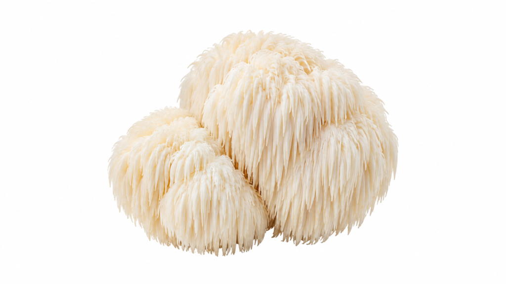 Lion’s mane