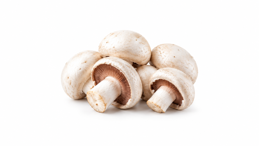 Champignon