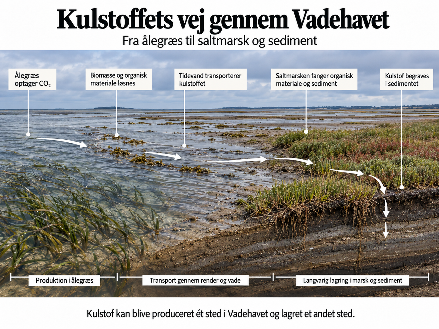 vaderhav