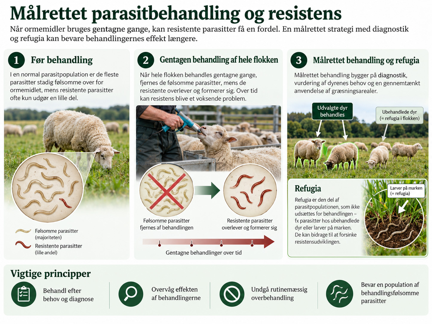 Målrettet parasitbehandling og resistens